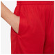 Nike Παιδικό σορτς Multi Dri-FIT Shorts